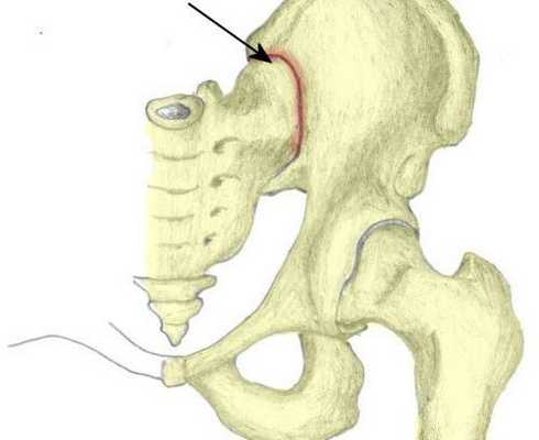Рентген крестцово-подвздошных сочленений