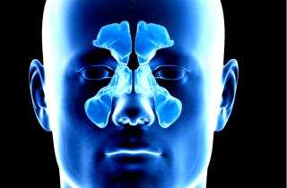 Рак гайморовой