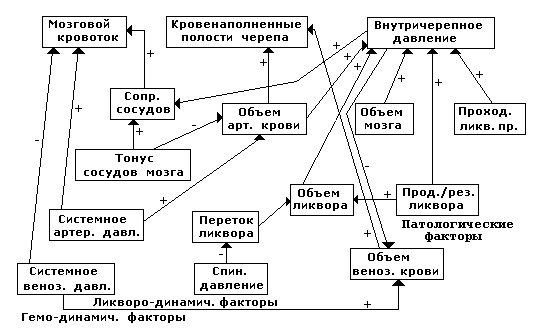 Рис. 1.2. Схема функциональных взаимосвязей между элементами системы внутричерепной гемоликвородинамики