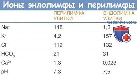 Ионы эндолимфы и перилимфы