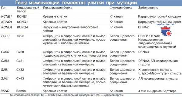 Гены изменяющие гомеостаз улитки при мутации