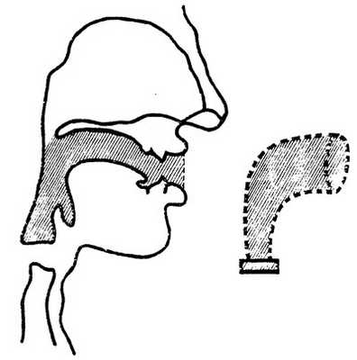 Надгортанная часть голосового аппарата как рупорная система
