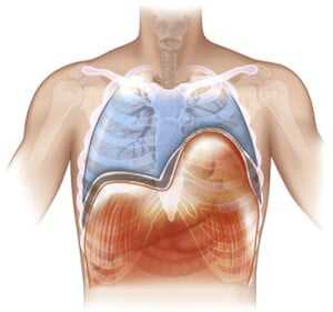 релаксация диафрагмы