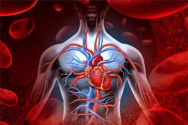 Адреналин - как он работает на нас