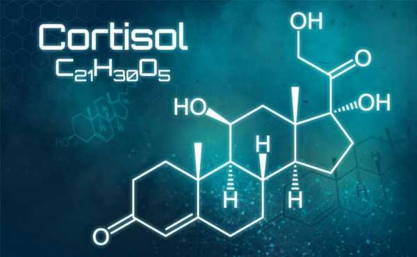 гормон стресса