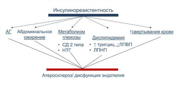 Инсулинорезистентность