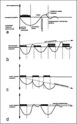 Варианты долговременной адаптации организма человека к физическим нагрузкам