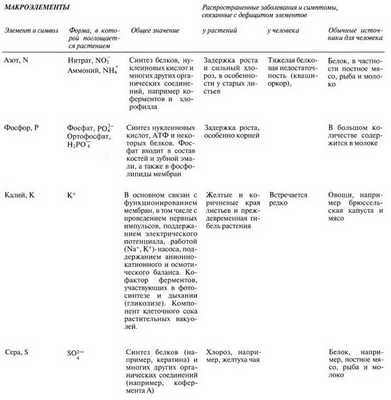 Минеральное питание растений и животных