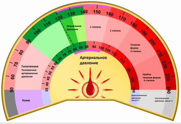 диаграмма артер_давление.png