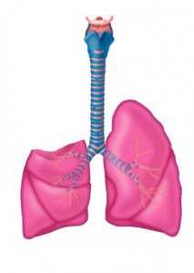 сегментэктомия