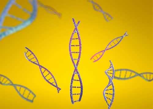 Склонность к эпилепсии хранится в ДНК
