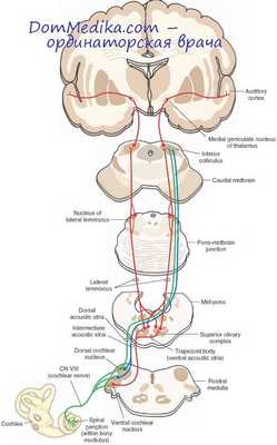 головокружение
