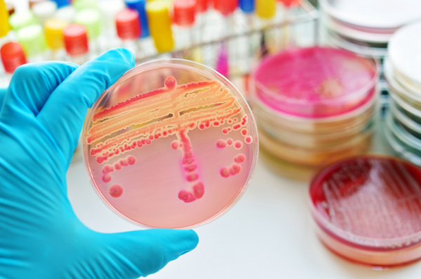 Септический шок