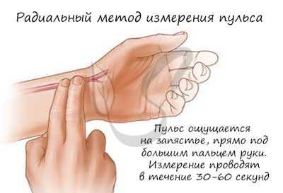 Измерение пульса