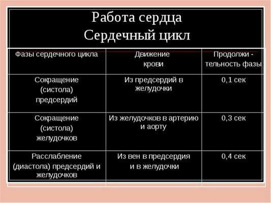 Сердечный цикл
