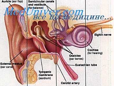сифилис вестибулярного аппарата