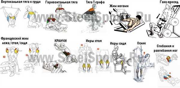 Список блочных устройств, которые очень близки к базовым движениям