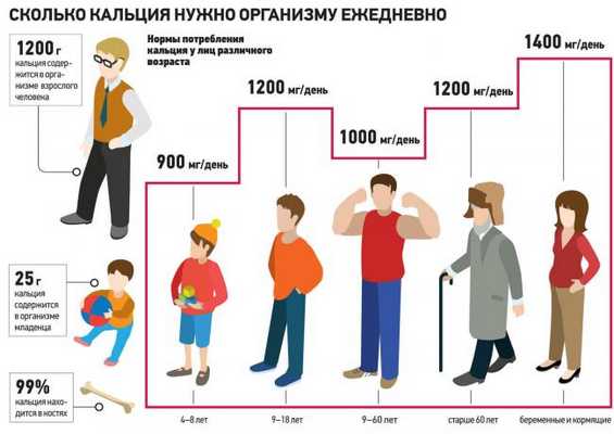 Суточная потребность кальция