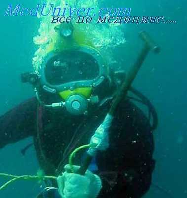 экскурсионные погружения