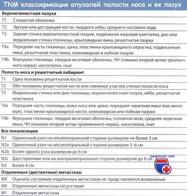 TNM классификация опухолей полости носа и ее пазух