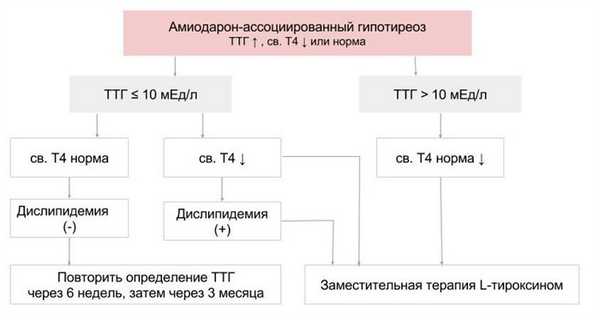 Алгоритм лечения амиодарон-ассоциированного гипотиреоза