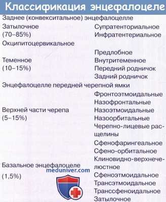 Классификация энцефалоцеле