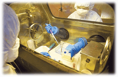 Инфекционные болезни