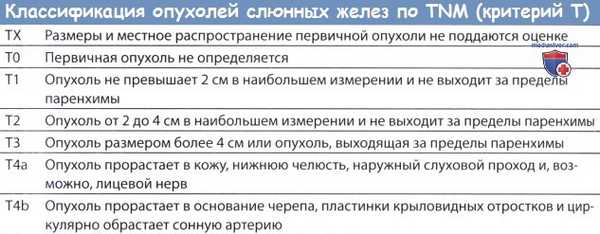 TNM классификация опухолей слюнной железы