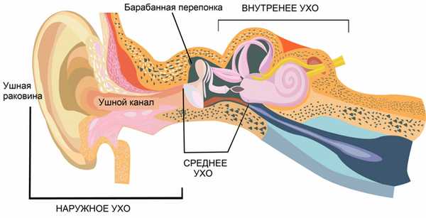 Морская болезнь