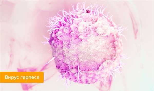 Кожевникова Светлана Николаевна, детский стоматолог, стоматолог - Ижевск