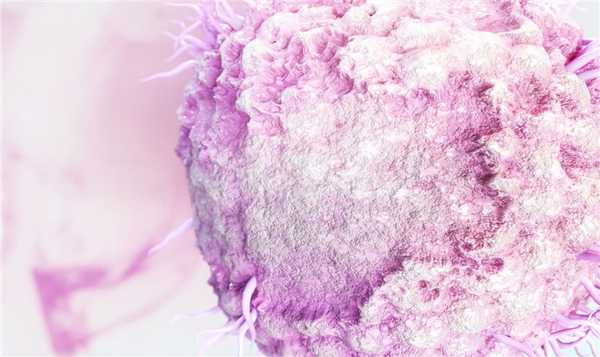 Александров Павел Андреевич, инфекционист, гепатолог, паразитолог, детский инфекционист - Санкт-Петербург