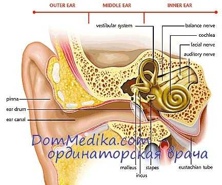 тромбофлебит при отите