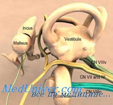 отосклероз