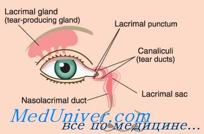 боевые ранения слезных органов