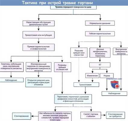 Тактика при острой травме гортани