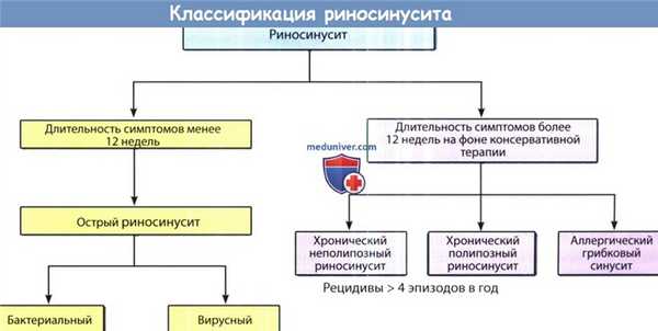 Классификация риносинуситов
