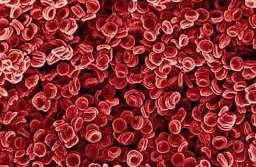 Агранулоцитоз