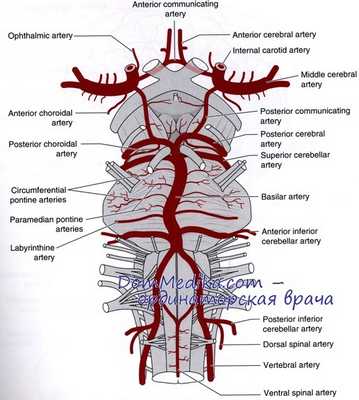 альтеринирующий синдром бабинского-нажотта