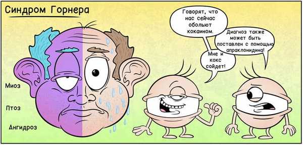 синдром бернара горнера