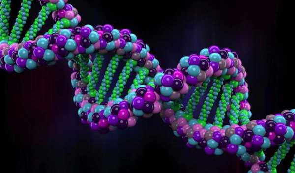 Синдром Блума это