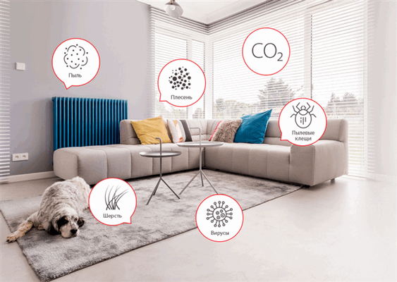 Дышите глубже: как сделать воздух дома безопасным?