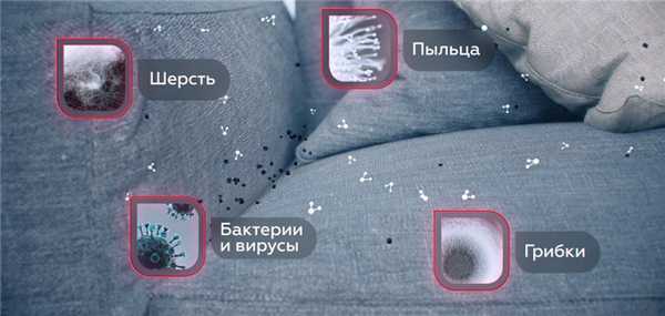 Дышите глубже: как сделать воздух дома безопасным?