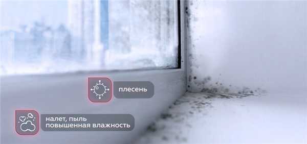 Дышите глубже: как сделать воздух дома безопасным?