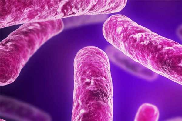 Венерическая лимфогранулема - фото