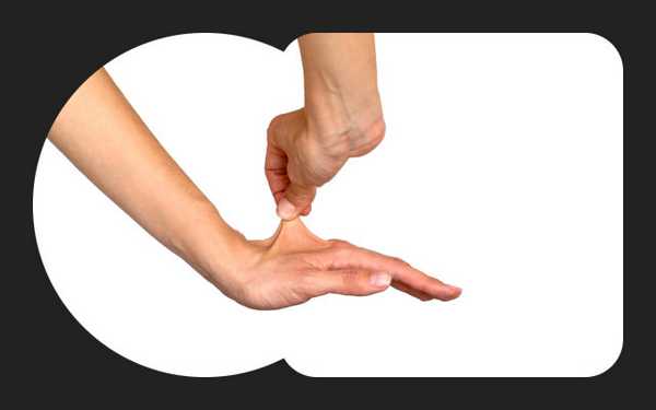 Фото: Shutterstock