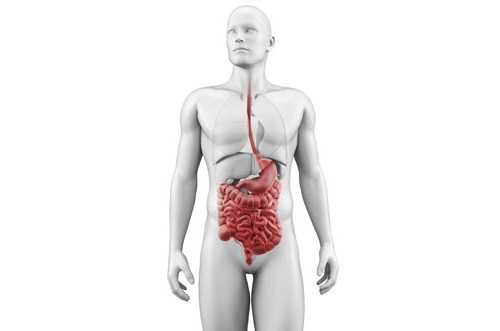 Реакция Герксхаймера: очищающий кризис