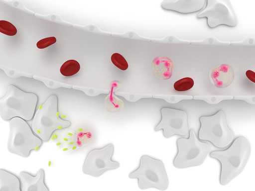 болезнь гирке причины