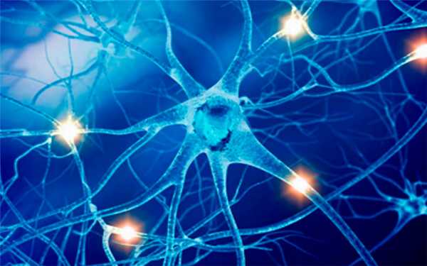 Синдром Клейне - Левина