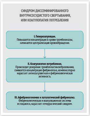 причины матки кувелера