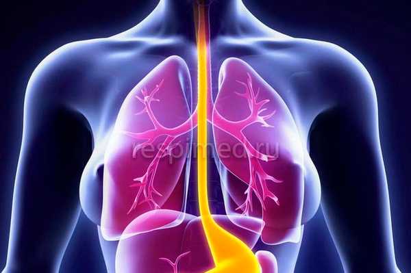 Пневмомикоз - лечение